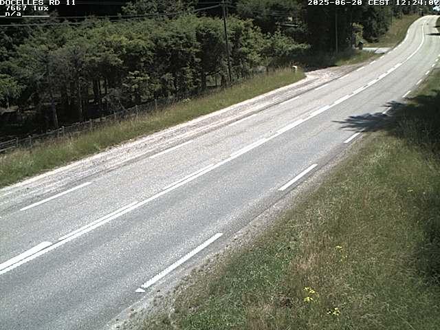 Webcam à 424 mètres d'altitude dans la Tranchée de Docelles dans les Vosges, à proximité d'Epinal sur la route de Gerardmer (D11)