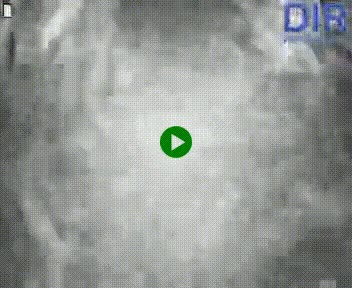 Webcam sur A84 à hauteur de Pont-Farcy, au niveau du pont autoroutier sur la Vire, au sud de Saint-Lô