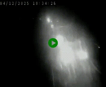 Caméra autoroute A75 à hauteur de Le Crest, en direction de Montpellier