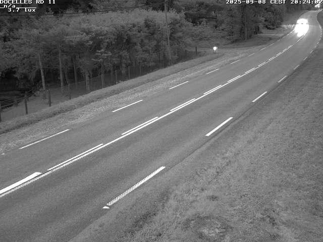 Webcam à 424 mètres d'altitude dans la Tranchée de Docelles dans les Vosges, à proximité d'Epinal sur la route de Gerardmer (D11)