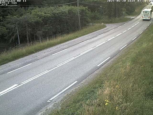 Webcam à 424 mètres d'altitude dans la Tranchée de Docelles dans les Vosges, à proximité d'Epinal sur la route de Gerardmer (D11)