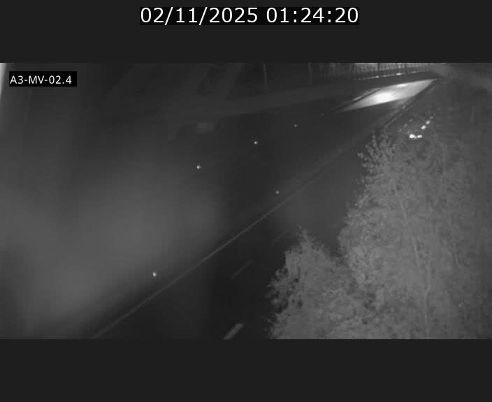 Webcam autoroute de la France (A3) au Luxembourg à Fentange, à proximité de la Croix de Gasperich. Vue orientée vers la Cloche d'Or