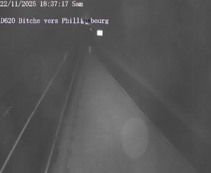 Webcam sur la D620, sur le contournement de Bitche. Vue orientée vers Philippsbourg