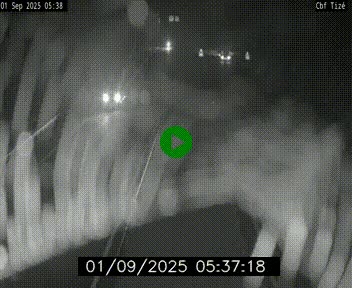 Webcam sur le périphérique de Rennes (N136) à hauteur de Tizé, à l'est de la ville