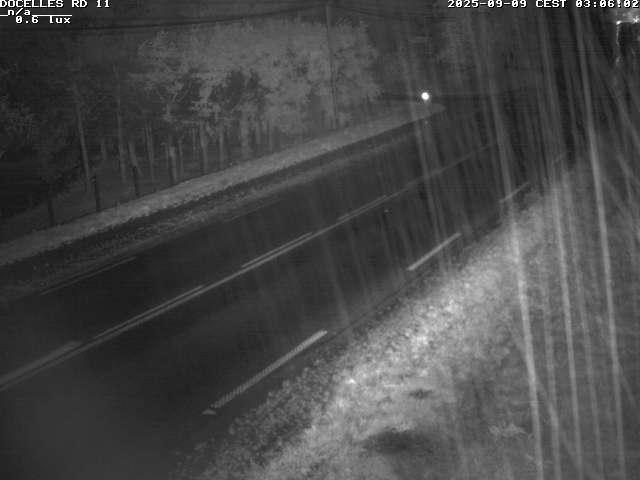 Webcam à 424 mètres d'altitude dans la Tranchée de Docelles dans les Vosges, à proximité d'Epinal sur la route de Gerardmer (D11)