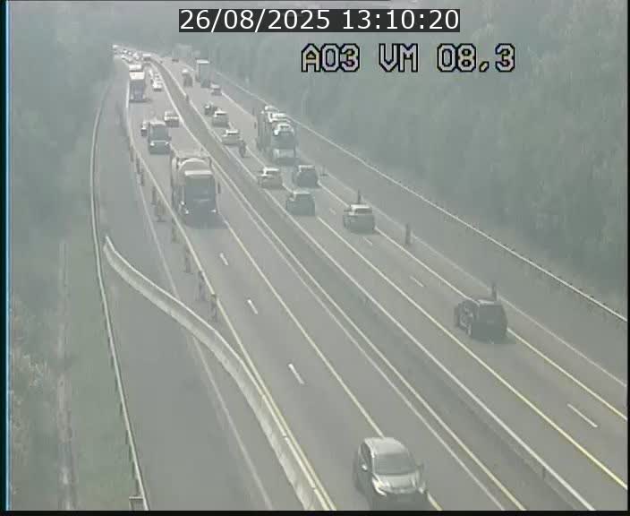 Traffic live webcam Luxembourg Bettembourg - A3 - BK 8.3 - direction France