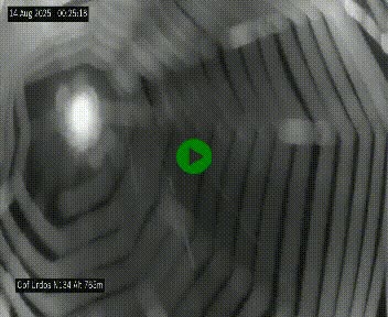 Webcam dans les Pyrénées Atlantique au niveau du col d'Urdos et du fort du Pourtalet sur la N134, en direction du Col et du tunnel du Somport, à 765 mètres d'altitude