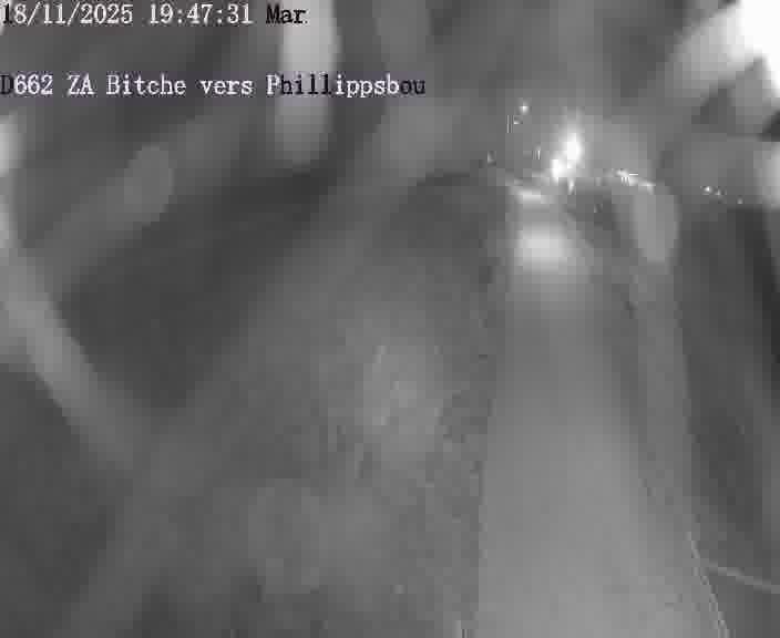 Caméra de trafic sur D662 (France) à Bitche, orientée vers Phillippsbourg, permettant d’évaluer fluidité, incidents et densité automobile.