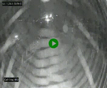 Vue en direct de l'autoroute A10 grâce à un drône situé au-dessus du péage de Virsac