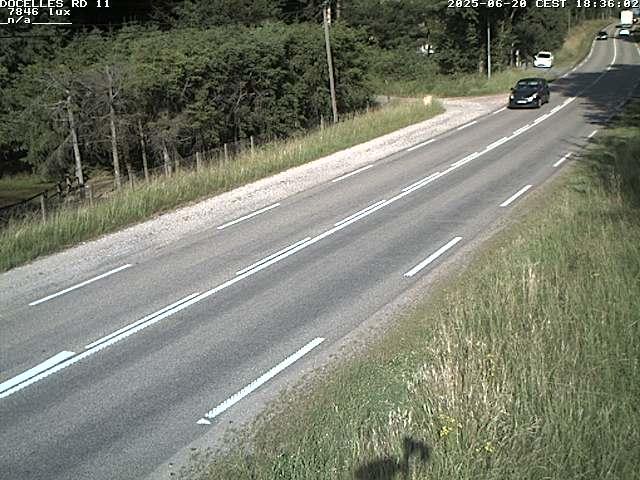 Webcam à 424 mètres d'altitude dans la Tranchée de Docelles dans les Vosges, à proximité d'Epinal sur la route de Gerardmer (D11)
