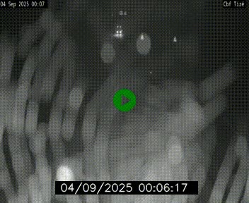Webcam sur le périphérique de Rennes (N136) à hauteur de Tizé, à l'est de la ville