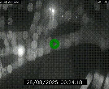 Webcam sur le périphérique de Rennes (N136) à hauteur de Tizé, à l'est de la ville