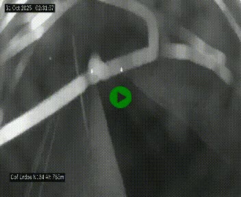 Webcam dans les Pyrénées Atlantique au niveau du col d'Urdos et du fort du Pourtalet sur la N134, en direction du Col et du tunnel du Somport, à 765 mètres d'altitude