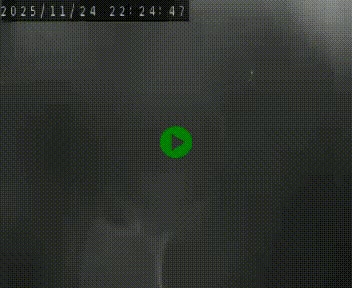 Webcam routière au niveau du col de la Chavade en Ardèche, sur la N102 à 1266 mètres d'altitude