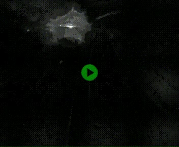 Webcam L'Hospitalet-près-l'Andorre sur N20, en direction d'Andorre