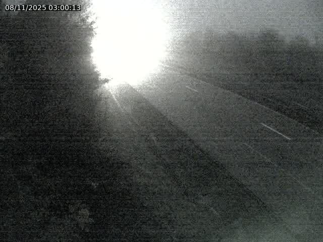 Webcam route sur la N59 à Flavigny-sur-Moselle à proximité de Nancy vers Epinal