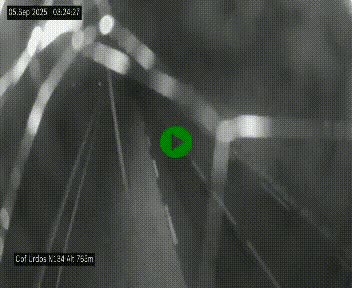 Webcam dans les Pyrénées Atlantique au niveau du col d'Urdos et du fort du Pourtalet sur la N134, en direction du Col et du tunnel du Somport, à 765 mètres d'altitude