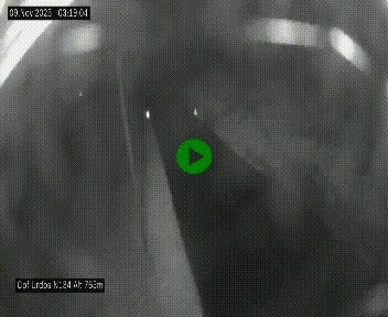 Webcam dans les Pyrénées Atlantique au niveau du col d'Urdos et du fort du Pourtalet sur la N134, en direction du Col et du tunnel du Somport, à 765 mètres d'altitude