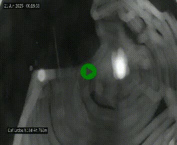 Webcam dans les Pyrénées Atlantique au niveau du col d'Urdos et du fort du Pourtalet sur la N134, en direction du Col et du tunnel du Somport, à 765 mètres d'altitude