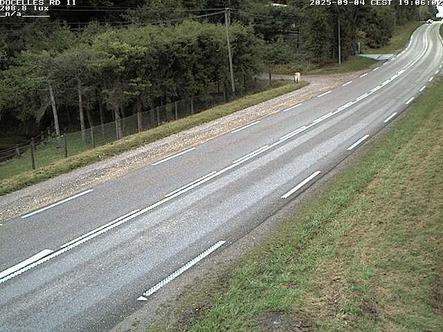 Webcam à 424 mètres d'altitude dans la Tranchée de Docelles dans les Vosges, à proximité d'Epinal sur la route de Gerardmer (D11)