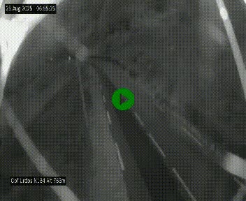Webcam dans les Pyrénées Atlantique au niveau du col d'Urdos et du fort du Pourtalet sur la N134, en direction du Col et du tunnel du Somport, à 765 mètres d'altitude