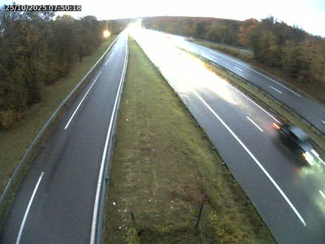 Caméra autoroute France - A31, Velaine-en-Haye direction Nancy