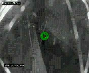 Webcam dans les Pyrénées Atlantique au niveau du col d'Urdos et du fort du Pourtalet sur la N134, en direction du Col et du tunnel du Somport, à 765 mètres d'altitude