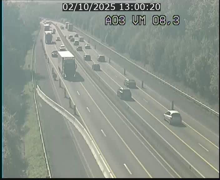 Traffic live webcam Luxembourg Bettembourg - A3 - BK 8.3 - direction France
