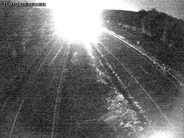 Caméra autoroute France - A31, Velaine-en-Haye direction Nancy