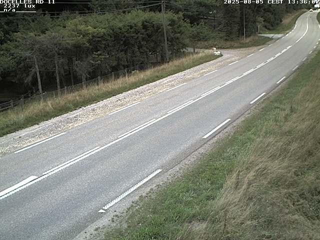 Webcam à 424 mètres d'altitude dans la Tranchée de Docelles dans les Vosges, à proximité d'Epinal sur la route de Gerardmer (D11)