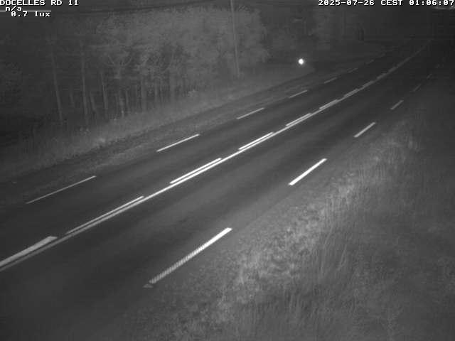 Webcam à 424 mètres d'altitude dans la Tranchée de Docelles dans les Vosges, à proximité d'Epinal sur la route de Gerardmer (D11)