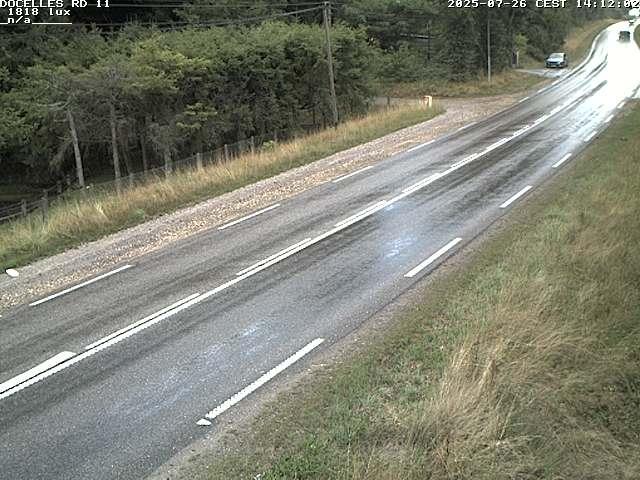 Webcam à 424 mètres d'altitude dans la Tranchée de Docelles dans les Vosges, à proximité d'Epinal sur la route de Gerardmer (D11)