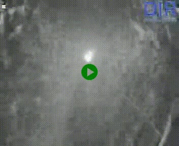 Webcam sur A84 à hauteur de l'échangeur de Poilley avec la N175, au sud d'Avranches