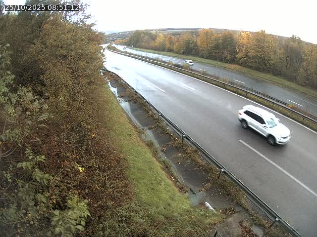 Webcam route sur la N59 à Flavigny-sur-Moselle à proximité de Nancy vers Epinal