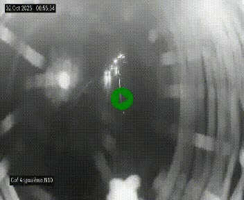 Webcam routière à la fin de la N10, en périphérique ouest d'Angouleme, proche de la jonction avec l'A10