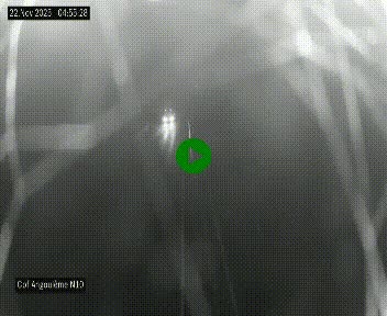 Webcam routière à la fin de la N10, en périphérique ouest d'Angouleme, proche de la jonction avec l'A10