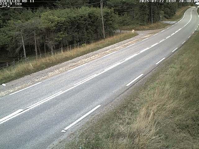 Webcam à 424 mètres d'altitude dans la Tranchée de Docelles dans les Vosges, à proximité d'Epinal sur la route de Gerardmer (D11)