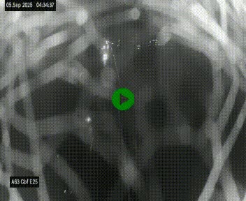 Webcam autoroute A63 en périphérie de Bordeaux au sud-est de la ville, en provenance du bassin d'Arcachon. Vue orientée vers Bordeaux
