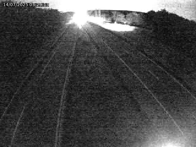 Caméra autoroute France - A31, Velaine-en-Haye direction Nancy