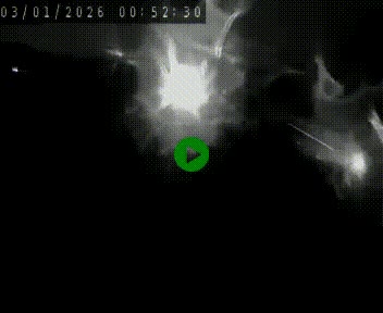 Caméra autoroute A75 à hauteur de Le Crest, en direction de Montpellier