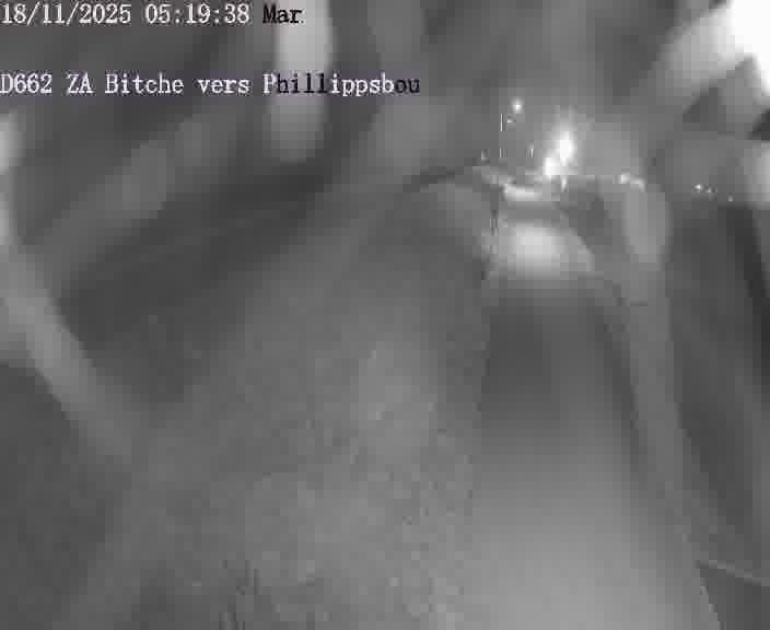 Caméra de trafic sur D662 (France) à Bitche, orientée vers Phillippsbourg, permettant d’évaluer fluidité, incidents et densité automobile.