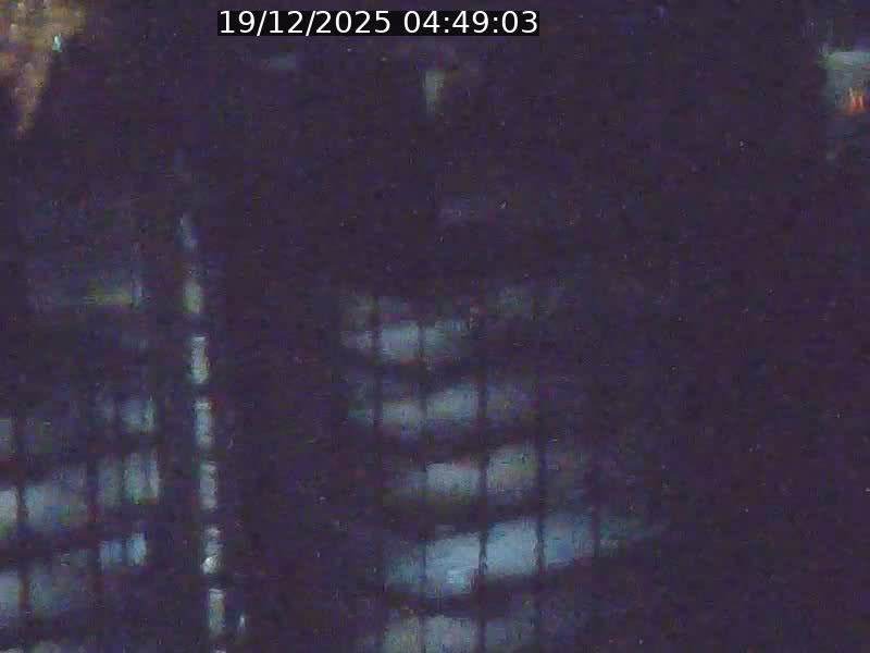 Webcam sur l'avenue John Fitzgerald Kennedy (N51) avec vue orientée vers le Findel