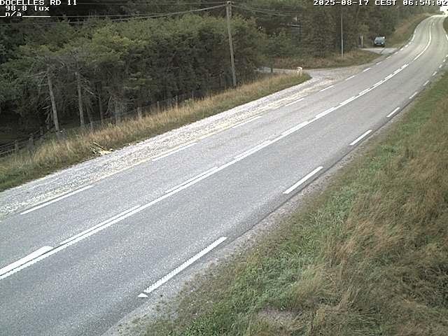 Webcam à 424 mètres d'altitude dans la Tranchée de Docelles dans les Vosges, à proximité d'Epinal sur la route de Gerardmer (D11)