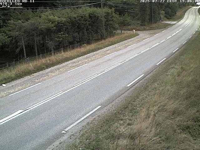 Webcam à 424 mètres d'altitude dans la Tranchée de Docelles dans les Vosges, à proximité d'Epinal sur la route de Gerardmer (D11)