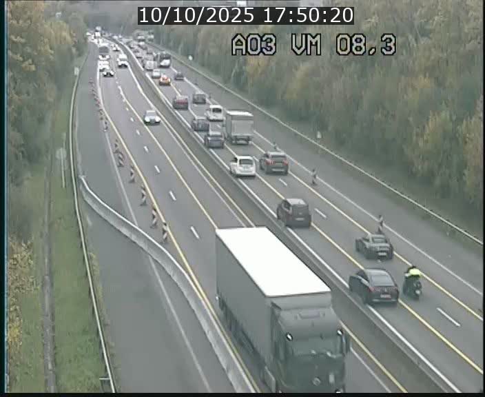 Traffic live webcam Luxembourg Bettembourg - A3 - BK 8.3 - direction France