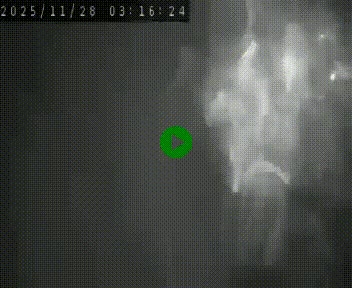 Webcam routière au niveau du col de la Chavade en Ardèche, sur la N102 à 1266 mètres d'altitude