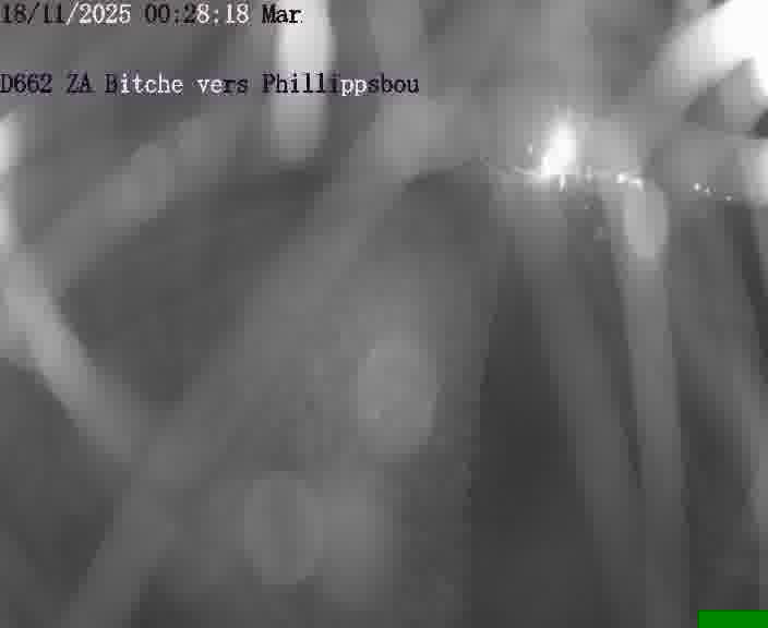 Caméra de trafic sur D662 (France) à Bitche, orientée vers Phillippsbourg, permettant d’évaluer fluidité, incidents et densité automobile.