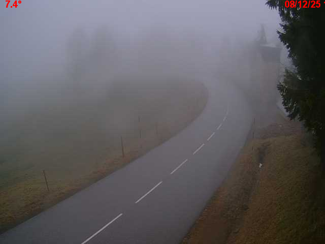 Webcam en haut du col du Ballon d'Alsace sur la D465 à 1075 mètres d'altitude dans les Vosges