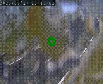 Webcam routière au niveau du col de la Chavade en Ardèche, sur la N102 à 1266 mètres d'altitude