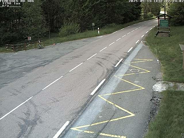Webcam en haut du col des Fenesses, aussi appelé col du Ménil sur la D486 à 593 mètres d'altitude dans les Vosges